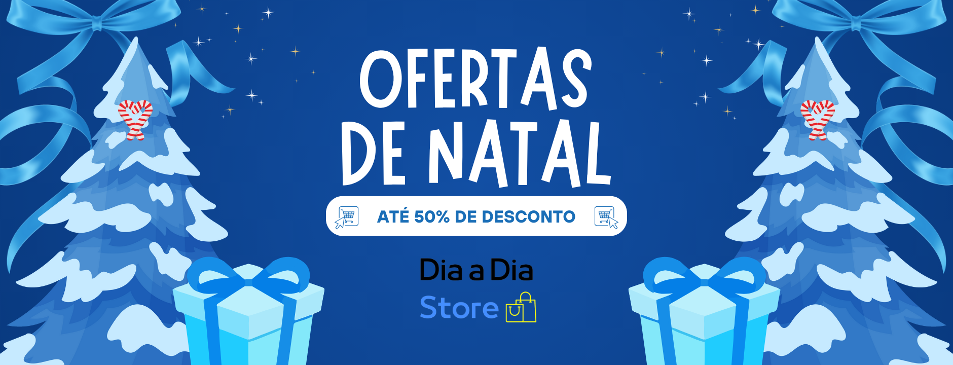 Dia a Dia Store